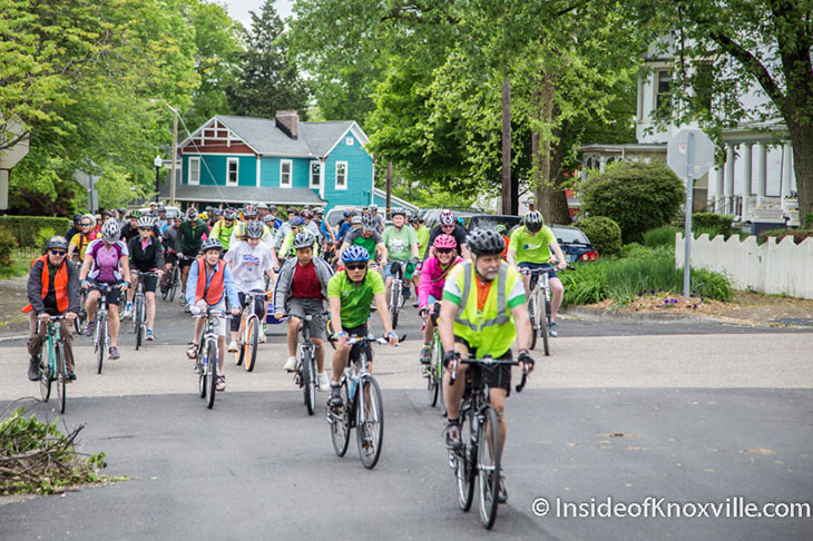 Knoxville Bicycle Safety